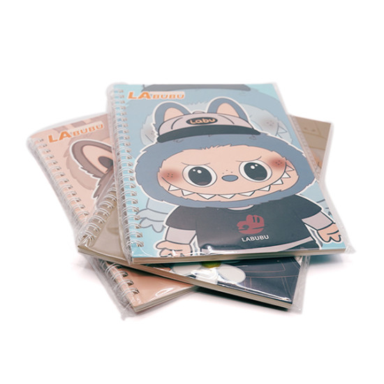 Notebooks