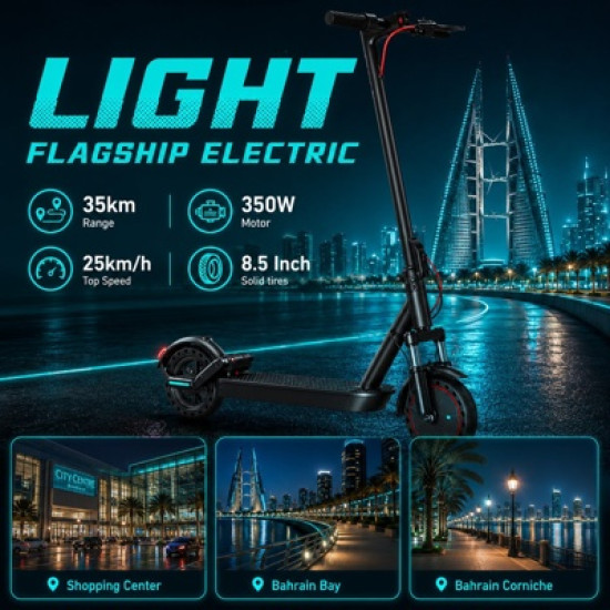 High Speed Foldable Electric Scooter (350W / 36V)