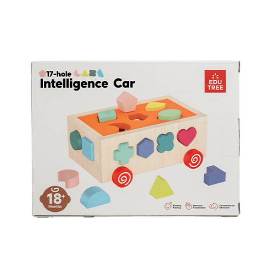 Intelligence Car