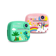 Digital Printing Camera